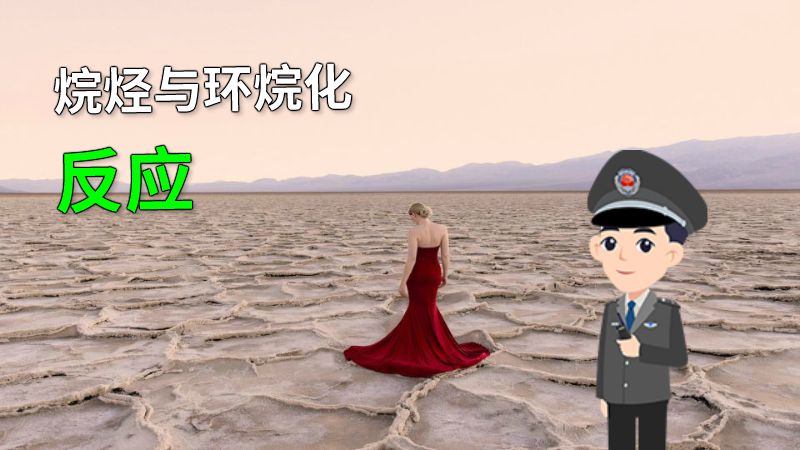 烷烃与环烷化反应 动画制作软件有哪些