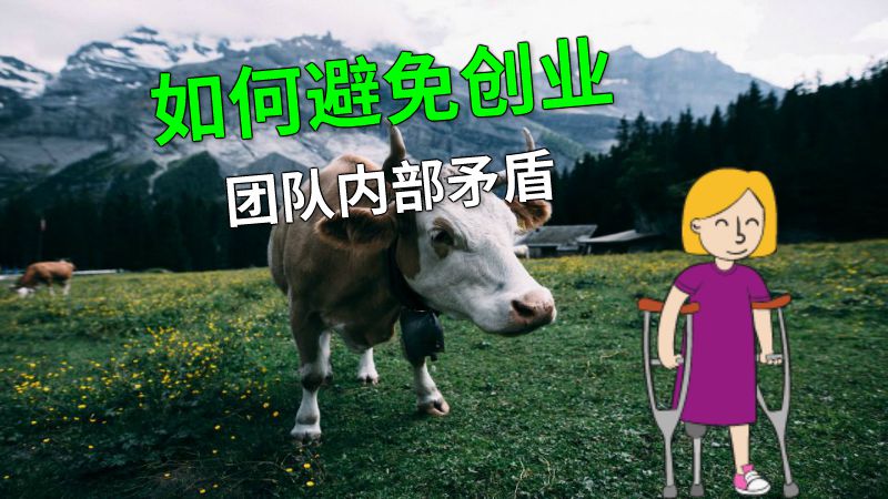 如何避免创业团队内部矛盾 动画制作软件有哪些