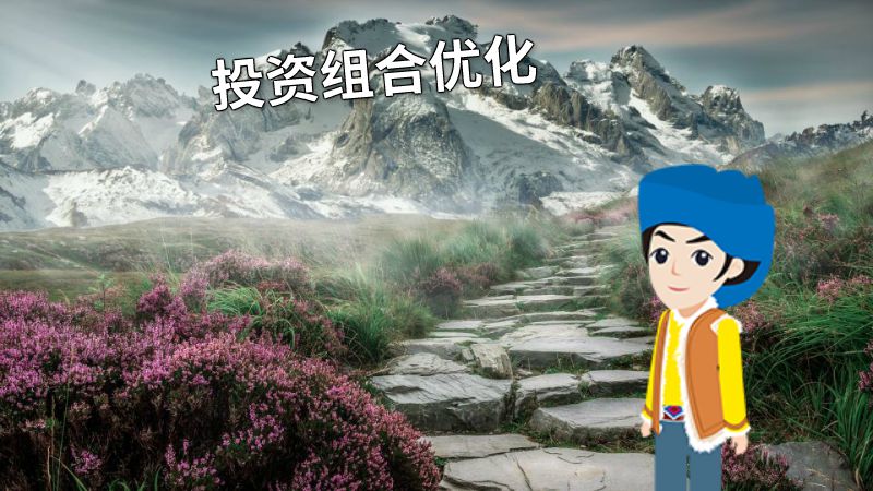 投资组合优化 动画制作软件有哪些
