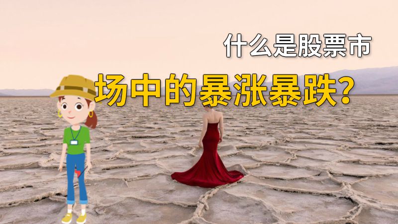 什么是股票市场中的暴涨暴跌？ 动画制作软件有哪些