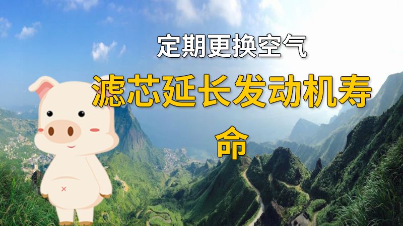 定期更换空气滤芯延长发动机寿命 动画制作软件有哪些
