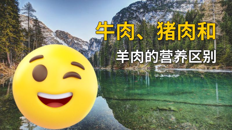 牛肉、猪肉和羊肉的营养区别 动画制作软件有哪些