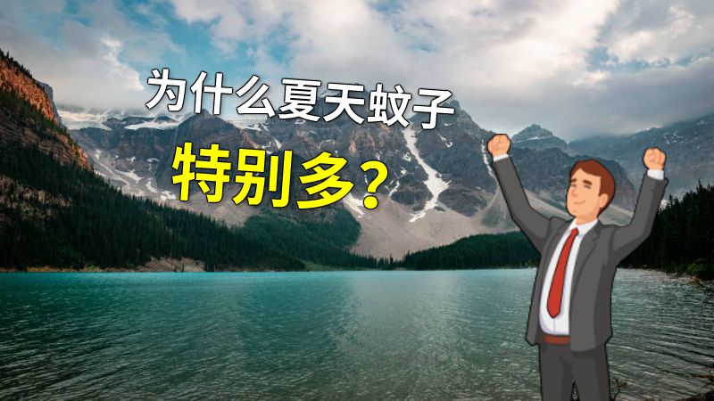 为什么夏天蚊子特别多？ 动画制作软件有哪些