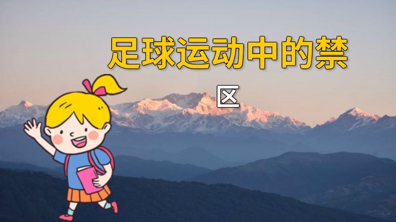 足球运动中的禁区 动画制作软件有哪些