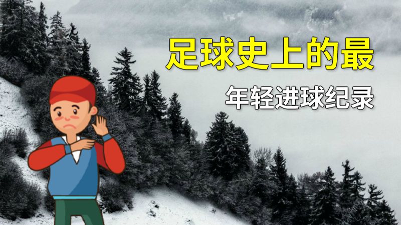 足球史上的最年轻进球纪录 动画制作软件有哪些