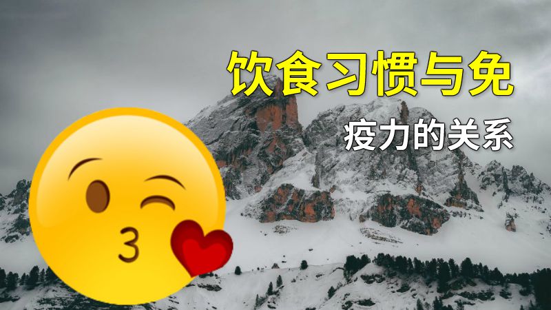 饮食习惯与免疫力的关系 动画制作软件有哪些