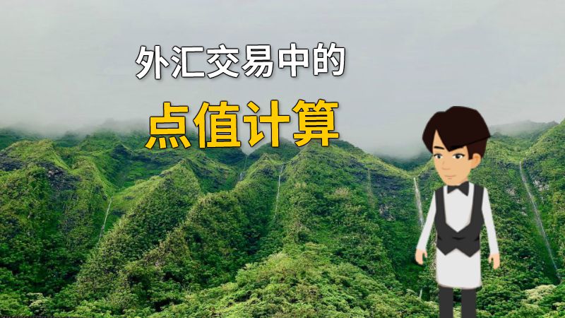 外汇交易中的点值计算 动画制作软件有哪些