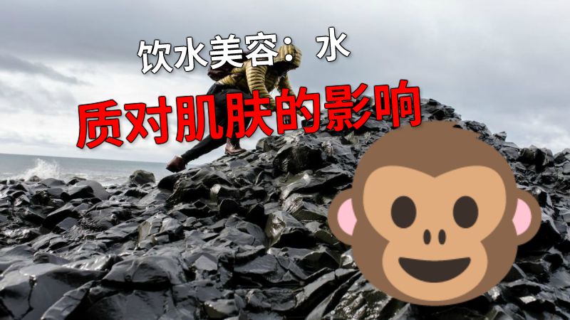 饮水美容：水质对肌肤的影响 动画制作软件有哪些