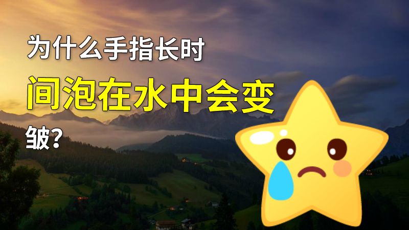 为什么手指长时间泡在水中会变皱？ 动画制作软件有哪些
