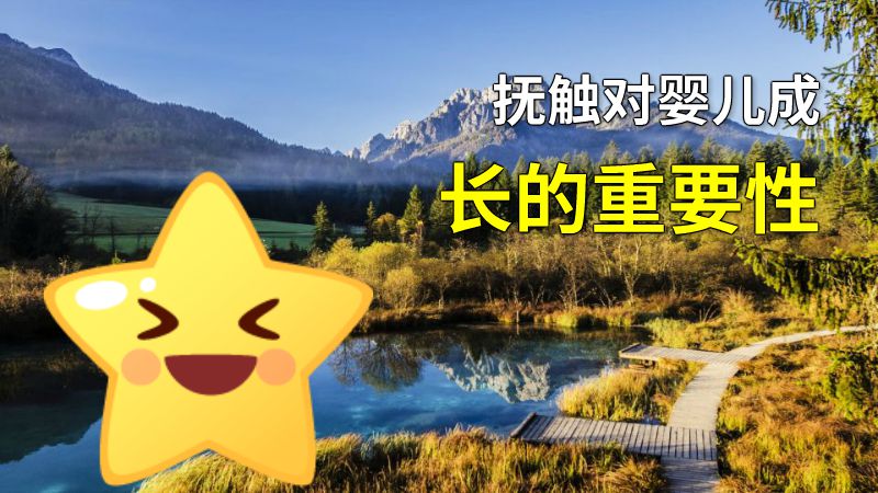 抚触对婴儿成长的重要性 动画制作软件有哪些