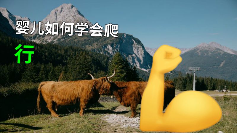 婴儿如何学会爬行 动画制作软件有哪些