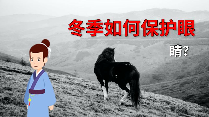 冬季如何保护眼睛？ 动画制作软件有哪些