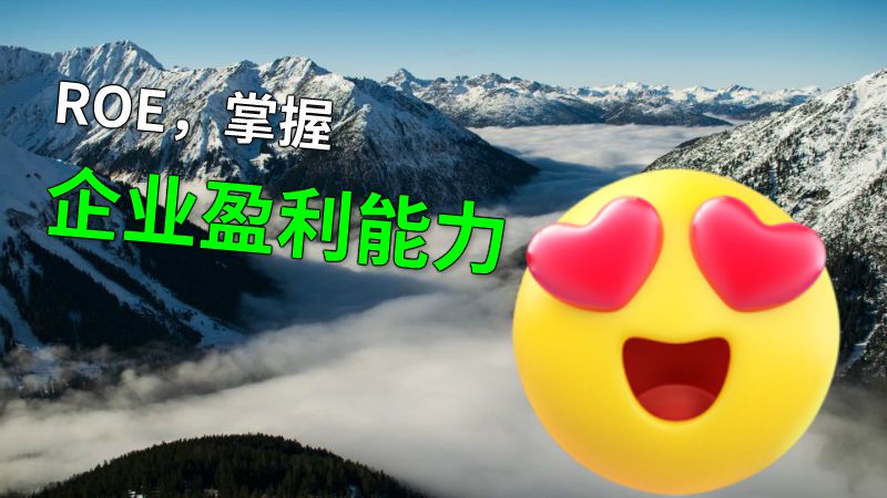 ROE，掌握企业盈利能力 动画制作软件有哪些