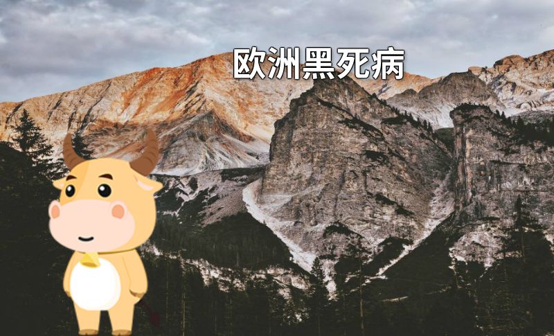 欧洲黑死病 动画制作软件有哪些
