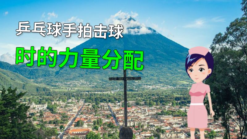 乒乓球手拍击球时的力量分配 动画制作软件有哪些