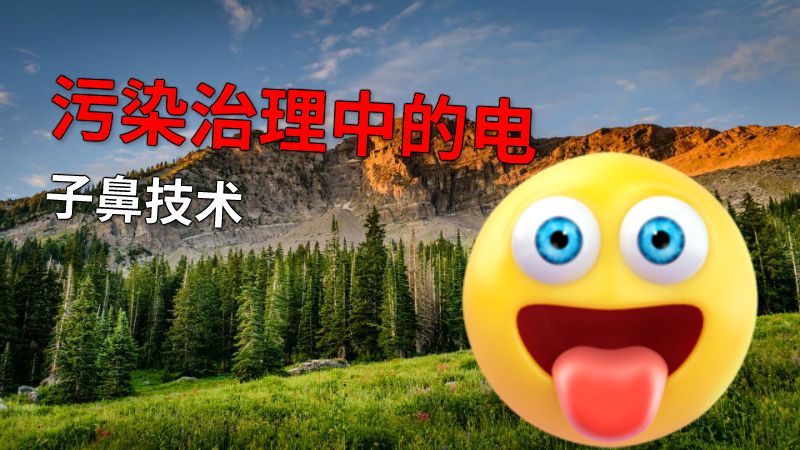污染治理中的电子鼻技术 动画制作软件有哪些