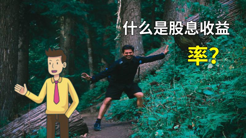 什么是股息收益率？ 动画制作软件有哪些