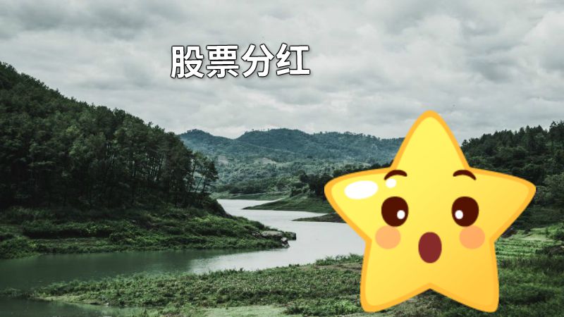 股票分红 动画制作软件有哪些