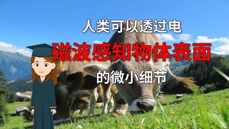 人类可以透过电磁波感知物体表面的微小细节 动画制作软件有哪些