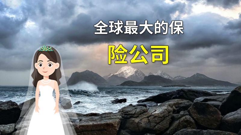 全球最大的保险公司 动画制作软件有哪些