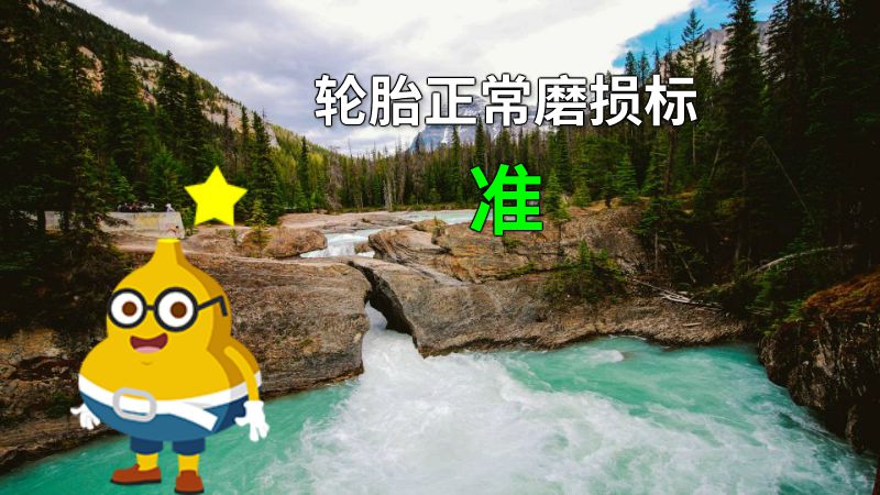 轮胎正常磨损标准 动画制作软件有哪些