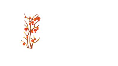 郭昱斐万彩.am 动画制作软件有哪些