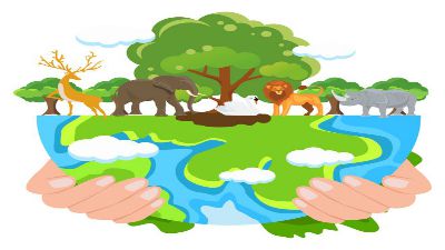 万彩动画大师（认识生物的多样性）.am 动画制作软件有哪些