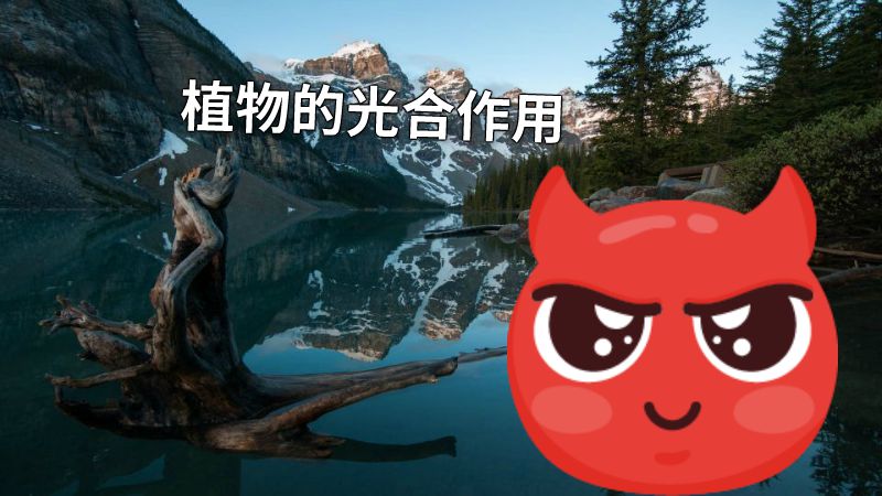 植物的光合作用 动画制作软件有哪些