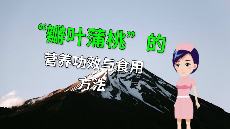 “瓣叶蒲桃”的营养功效与食用方法 动画制作软件有哪些