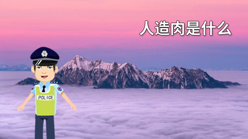 人造肉是什么 动画制作软件有哪些