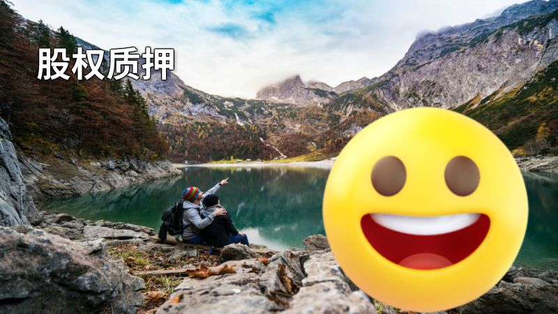 股权质押 动画制作软件有哪些