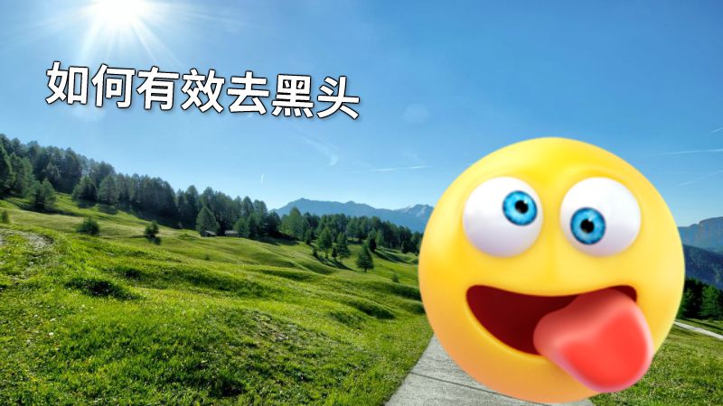 如何有效去黑头 动画制作软件有哪些