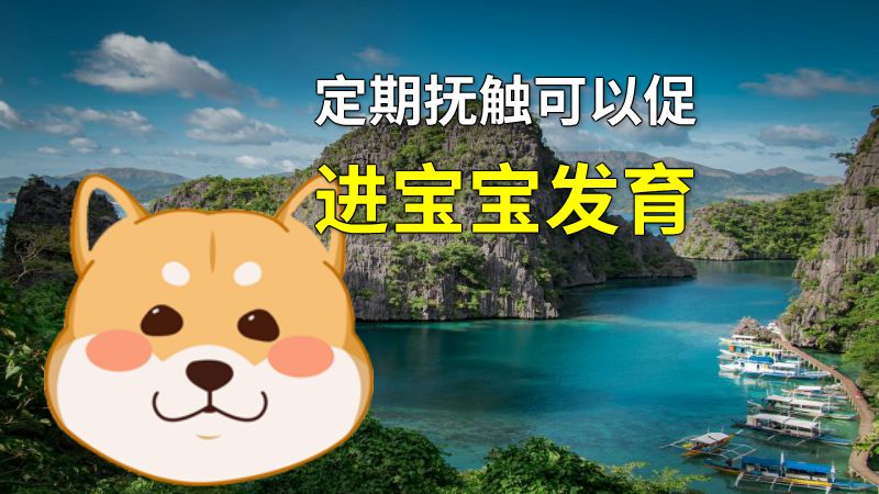 定期抚触可以促进宝宝发育 动画制作软件有哪些