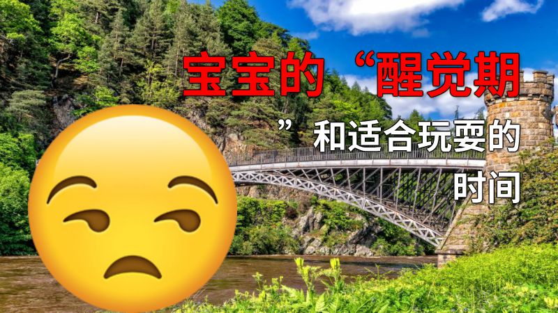 宝宝的“醒觉期”和适合玩耍的时间 动画制作软件有哪些
