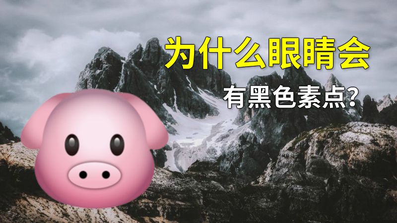 为什么眼睛会有黑色素点？ 动画制作软件有哪些