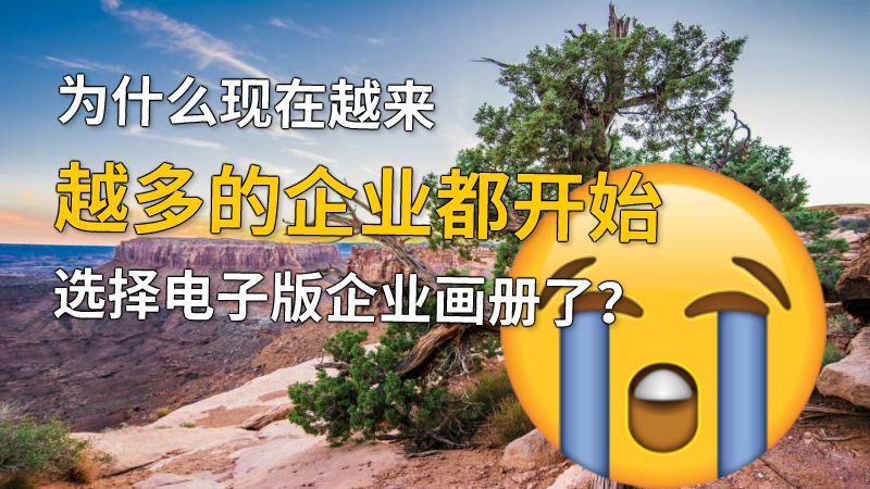 为什么现在越来越多的企业都开始选择电子版企业画册了？ 动画制作软件有哪些