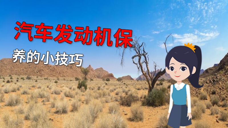 汽车发动机保养的小技巧 动画制作软件有哪些