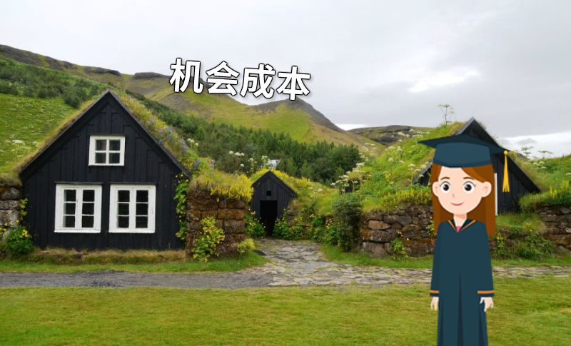 机会成本 动画制作软件有哪些