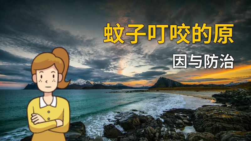 蚊子叮咬的原因与防治 动画制作软件有哪些