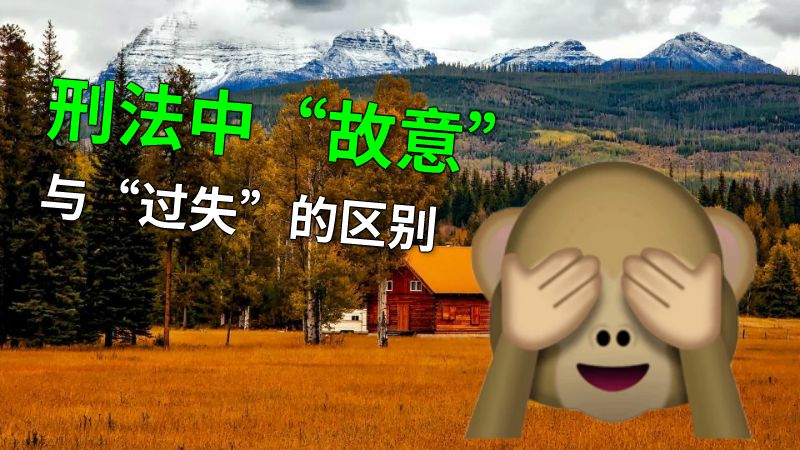 刑法中“故意”与“过失”的区别 动画制作软件有哪些