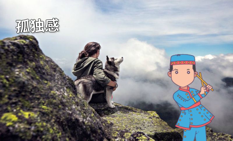 孤独感 动画制作软件有哪些