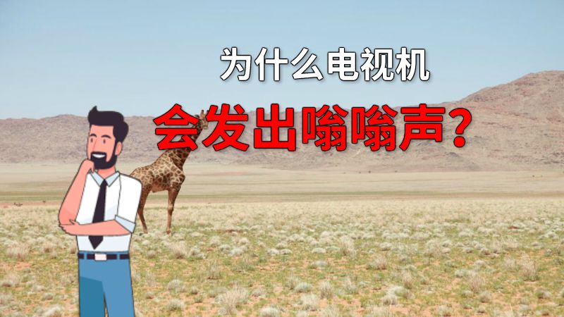 为什么电视机会发出嗡嗡声？ 动画制作软件有哪些