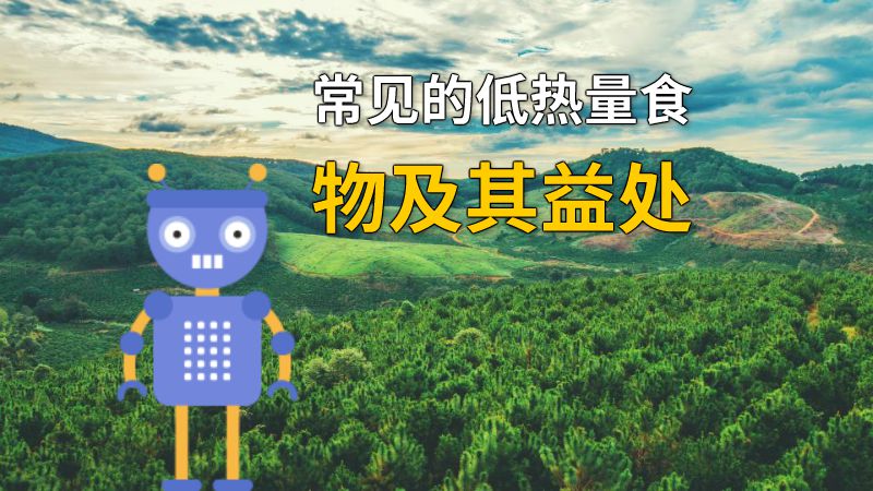 常见的低热量食物及其益处 动画制作软件有哪些