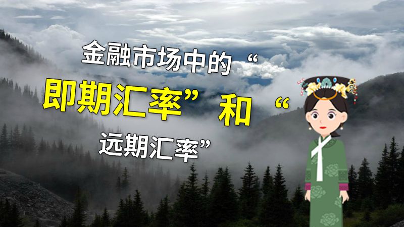 金融市场中的“即期汇率”和“远期汇率” 动画制作软件有哪些