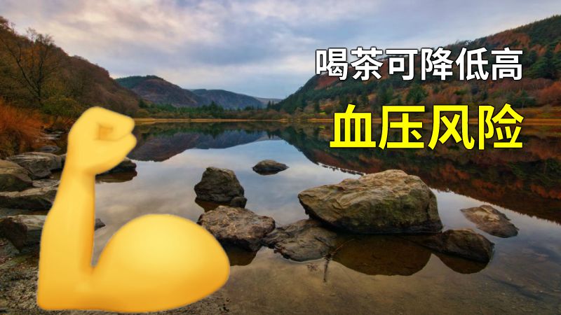 喝茶可降低高血压风险 动画制作软件有哪些