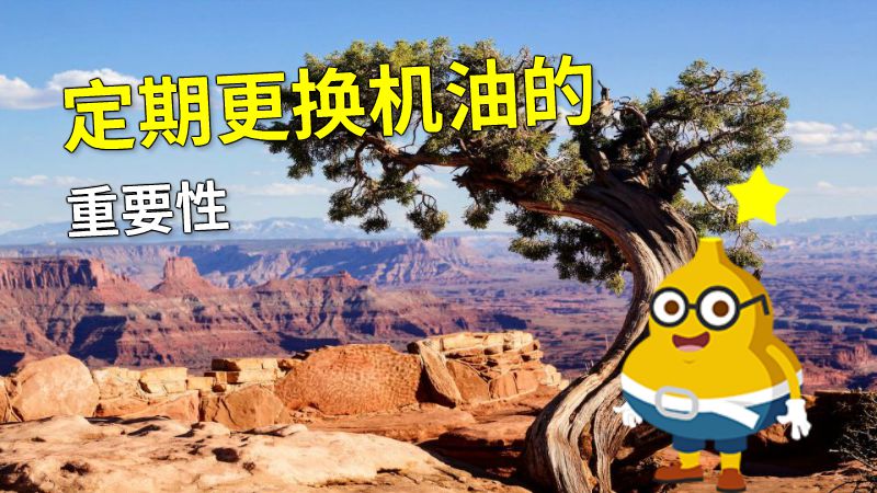 定期更换机油的重要性 动画制作软件有哪些