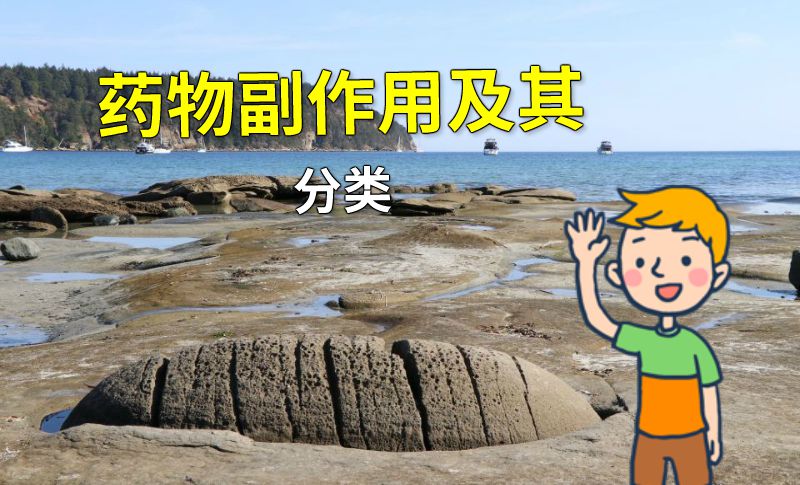 药物副作用及其分类 动画制作软件有哪些
