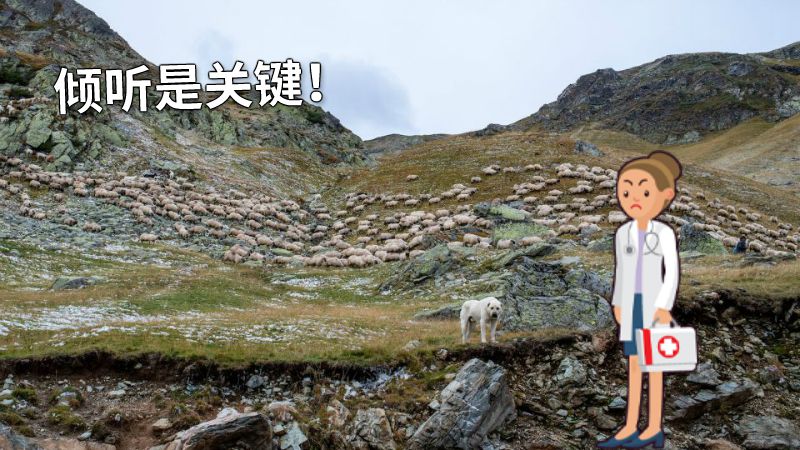 倾听是关键！ 动画制作软件有哪些