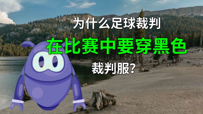 为什么足球裁判在比赛中要穿黑色裁判服？ 动画制作软件有哪些