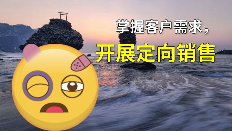 掌握客户需求，开展定向销售 动画制作软件有哪些